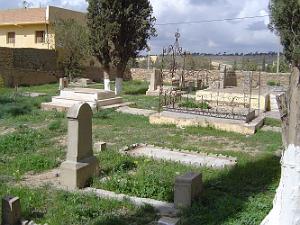 TELAGH LE CIMETIERE 21